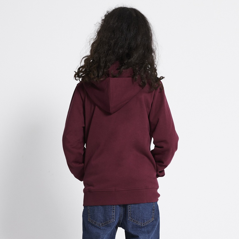 Zip hoodie "Tom star" Dark red